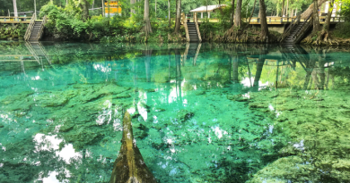 Sustainable Tourism Florida